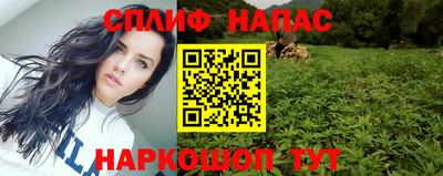 бошки Дубна
